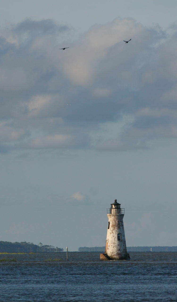 seagulls above Cockspur Island lighthouse off Tybee Island, Georgia