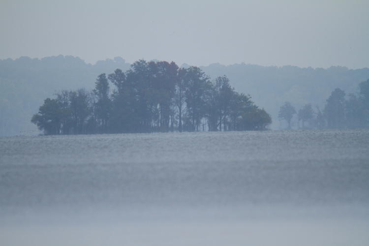 Island on Jordan Lake shrouded by thin fog