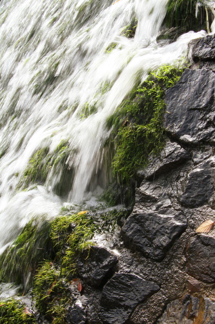 water splashing over spillway and underlying mosses