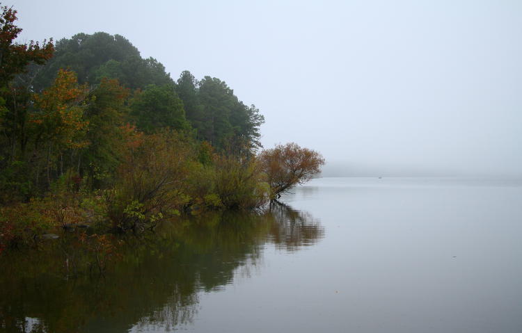 Shoreline of Jordan Lake with thin fog