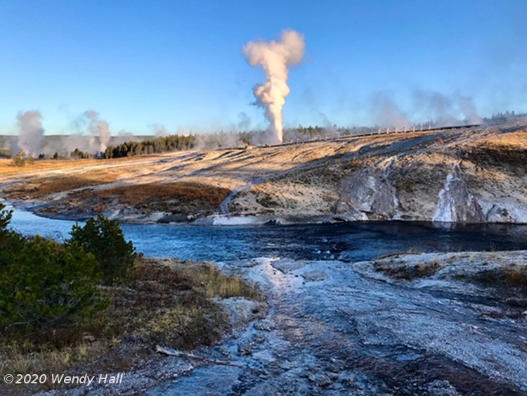 Old Faithful geyser in background of hot springs runoff in Yellowstone National Park, by Wendy Hall