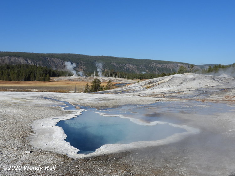 hot spring in Yellowstone National Park, by Wendy Hall