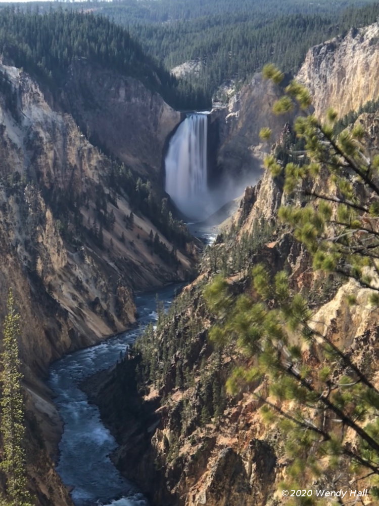 Lower Falls, Yellowstone National River, Yellowstone National Park, by Wendy Hall