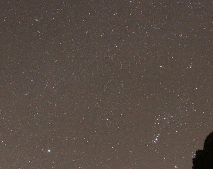 Another meteor near Orion during Leonids meteor shower