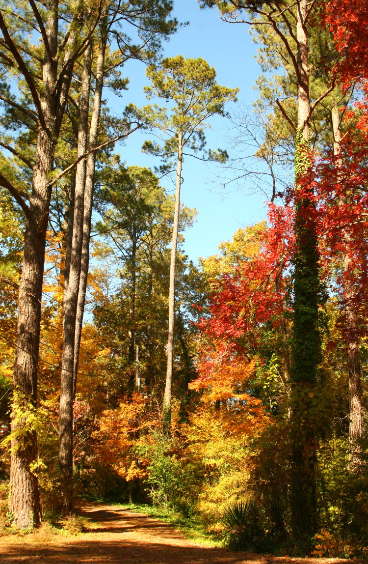 fall colors from a few years back