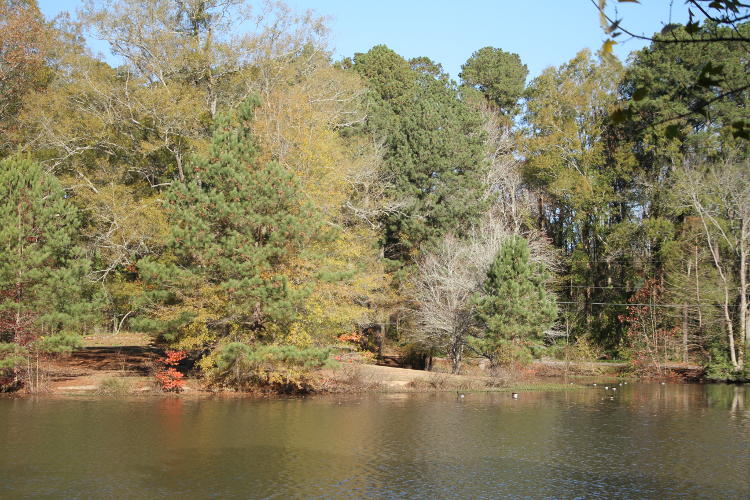 pond scene lacking fall colors