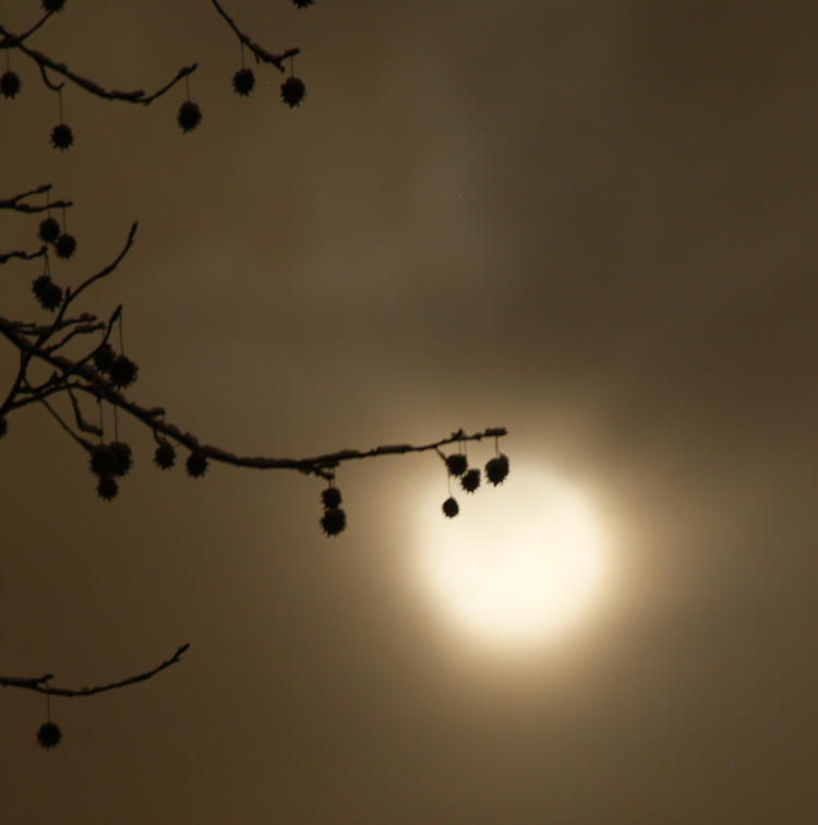 gumballs against moon glow