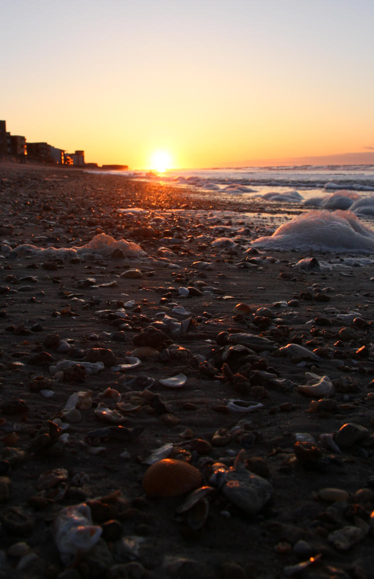 very low angle on beach debris and foam against rising sun