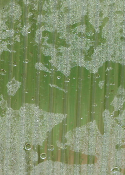 impression of treefrog in condensation