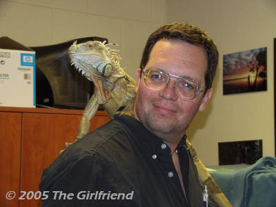 author, likely Homo sapiens, with green iguana Iguana iguana on his shoulders, years back, by The Girlfriend