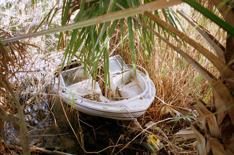 small runabout buried in reeds and overgrowth
