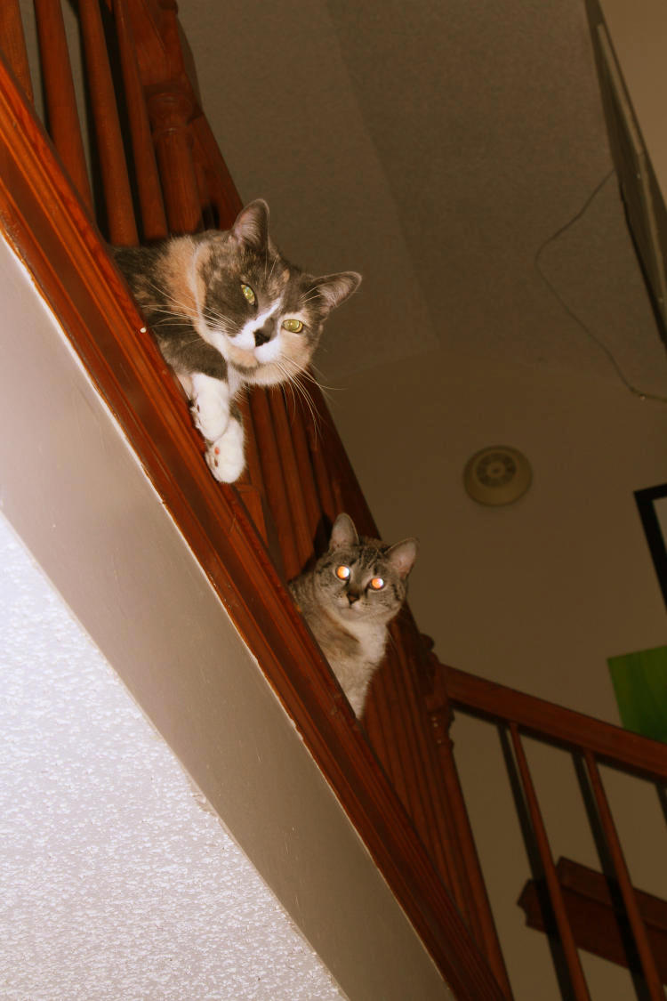 Monster and Little Girl looking down from the upstairs balcony