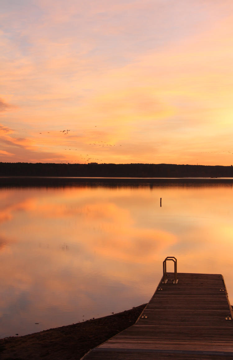 no-longer-floating dock on Falls Lake, NC