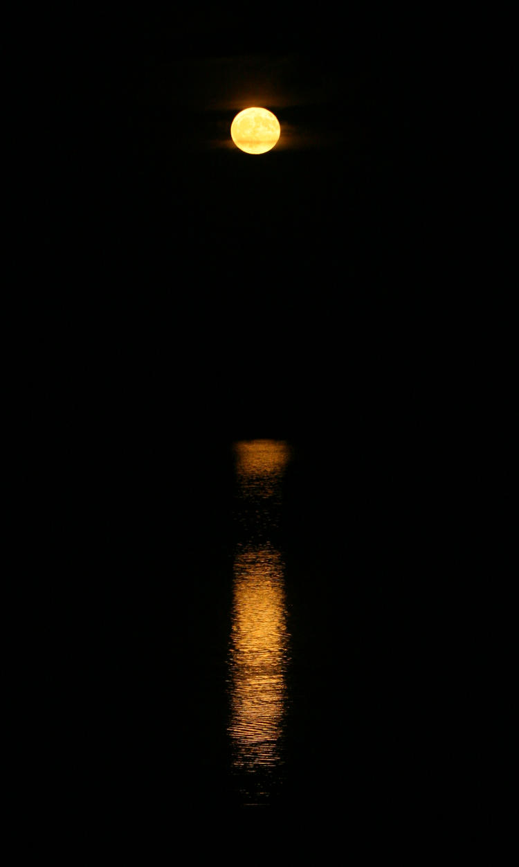 rising yellow full moon with reflection in lake