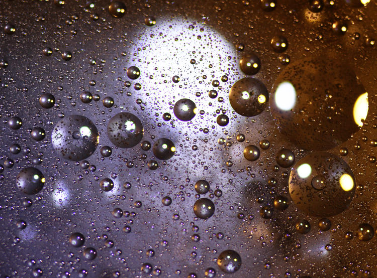 vegetable oil droplets in shallow glass pan of water