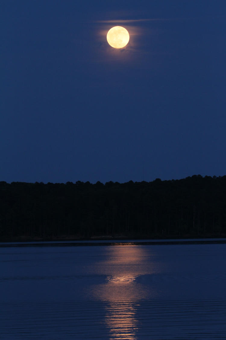 gold moon leaving reflection on Jordan Lake