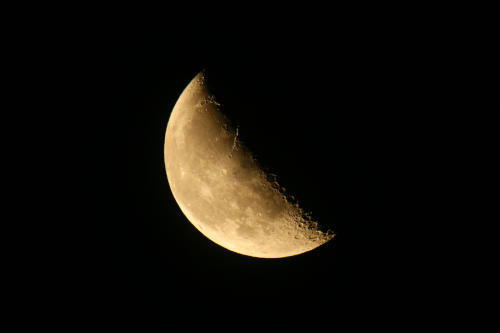 full-frame shot of moon scaled to viewfinder size