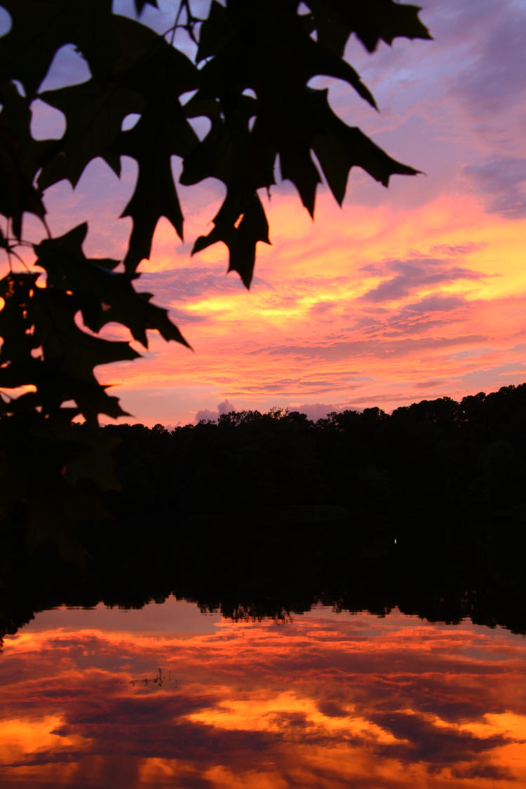 dynamic sunset sky over pond