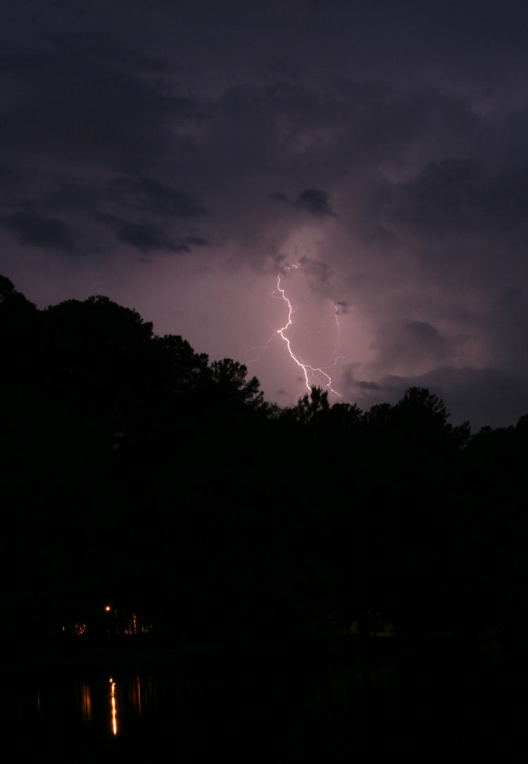 lightning over trees