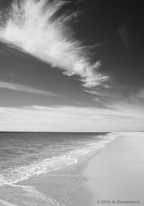 monochrome shoreline