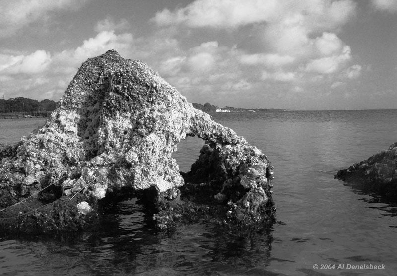 monochrome ocean rocks