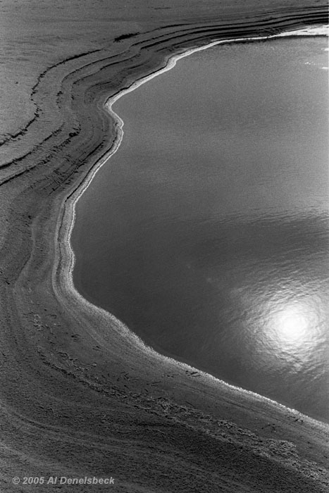 monochrome tidal pool