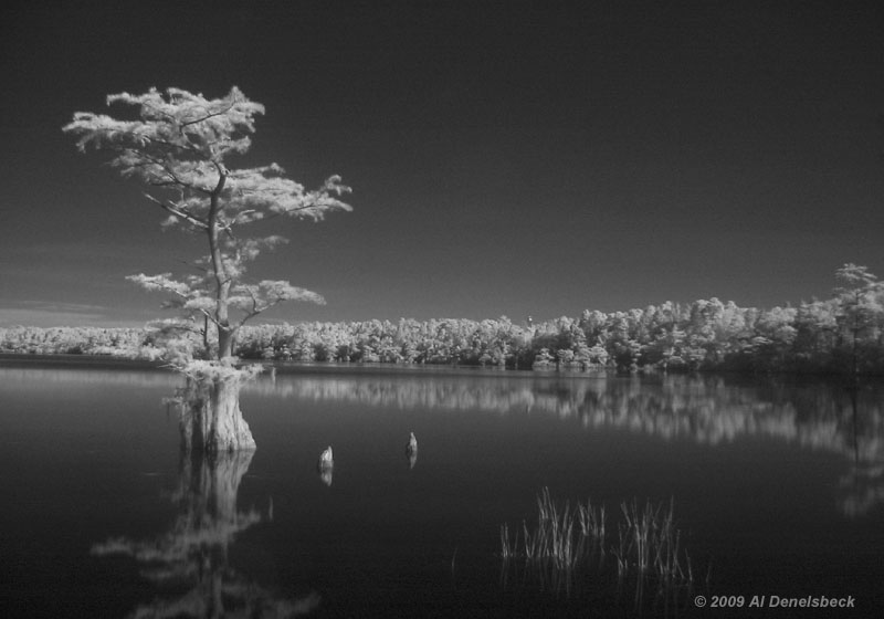 Jones Lake in infrared