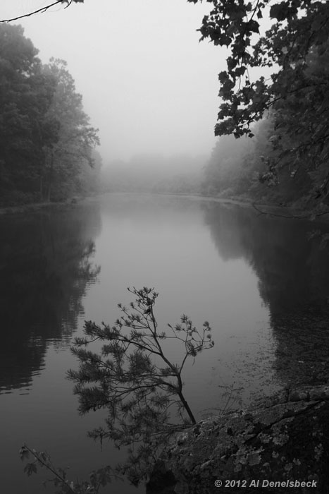 monochrome fog lake