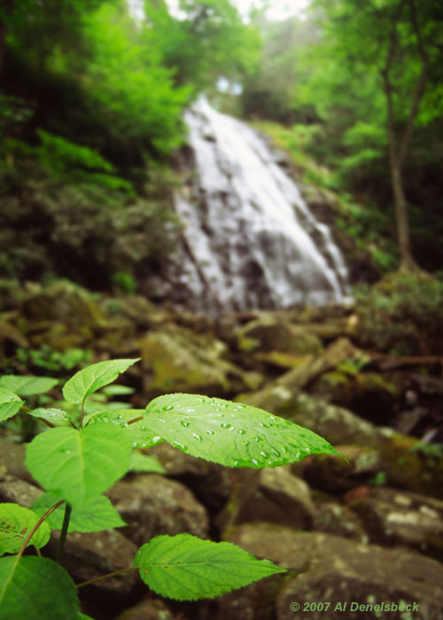 crabtree falls droplets