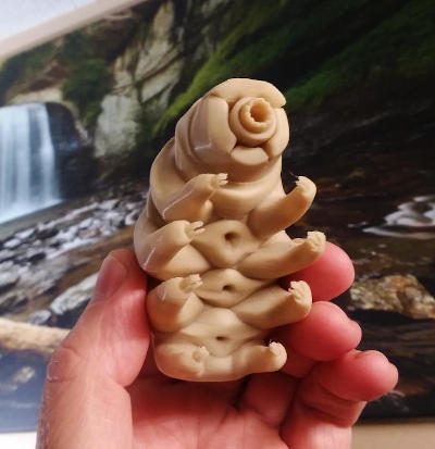 3D printed model of tardigrade