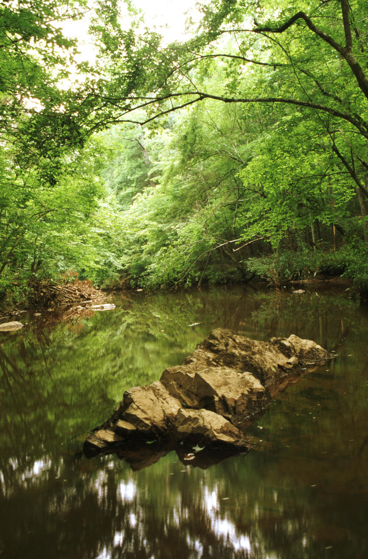 rocks in middle of Cane Creek, NC