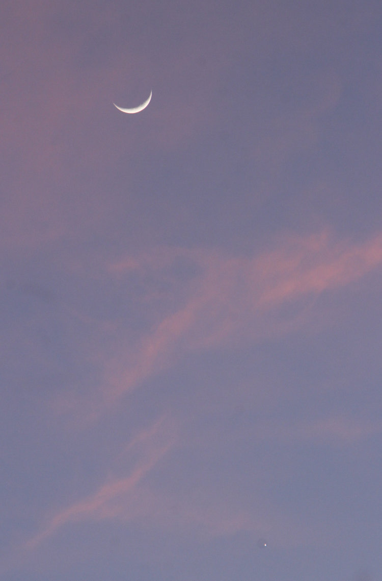 waxing crescent moon and Venus against faint pink clouds