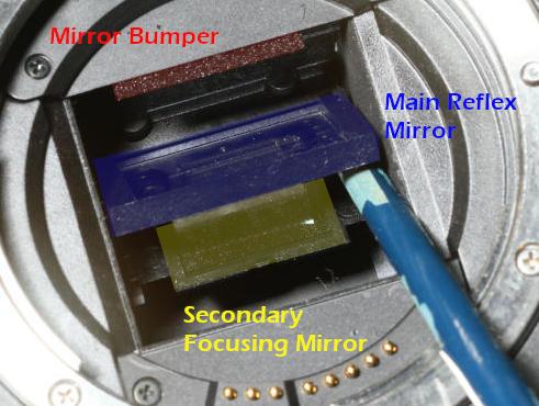 labeled mirror/shutter box in DSLR camera