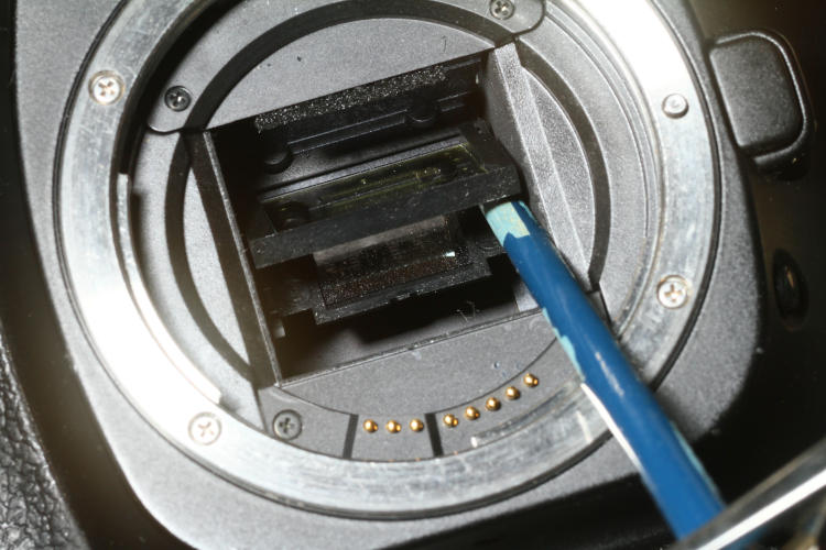 interior view of DSLR showing dual mirrors