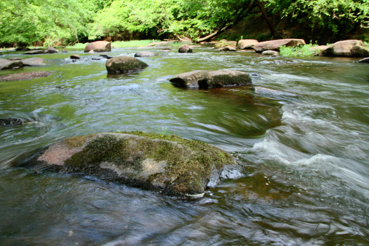 nearly duplicated photo of rocks and ripples in Neuse River at Falls of the Neuse, Raleigh NC