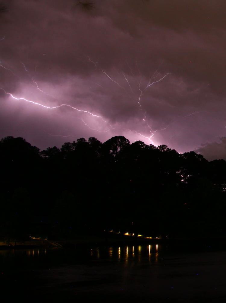 fanlike lightning pattern over trees