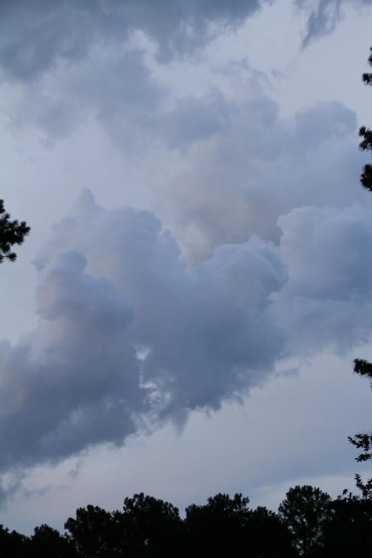 low-level cumulus clouds below overcast deck