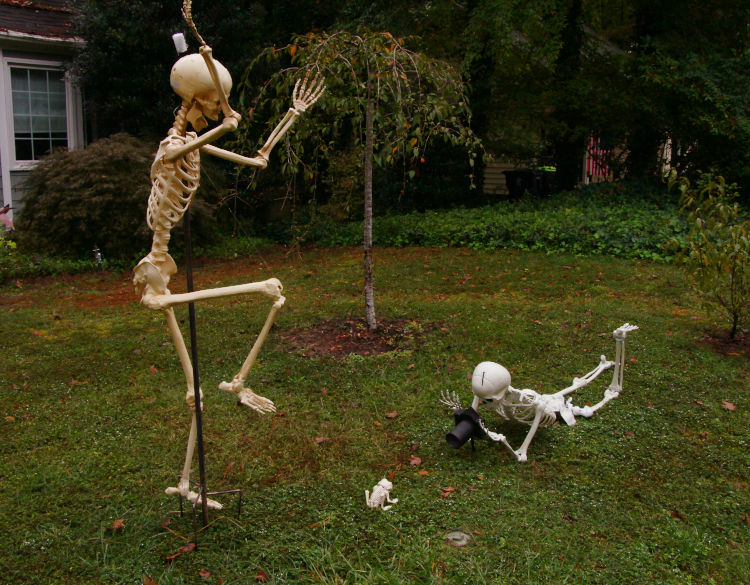 Halloween decorations in the yard of a nature photographer