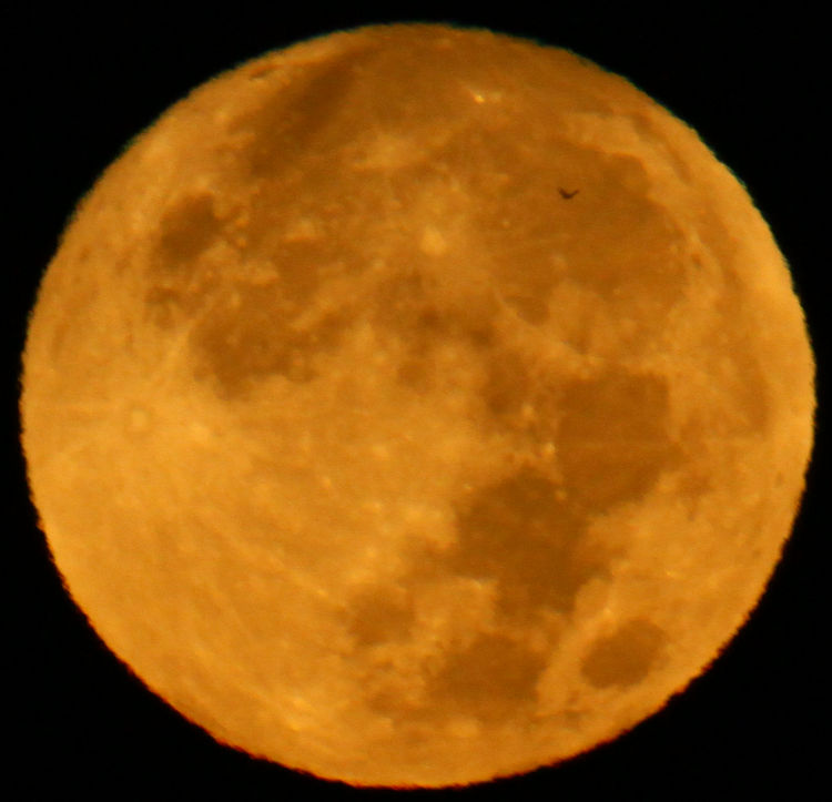 setting full moon distorted by atmospheric haze, with a bird silhouette