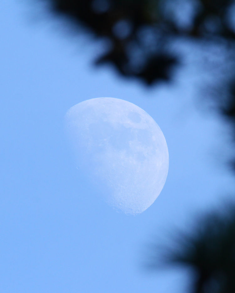 waxing gibbous moon during daylight