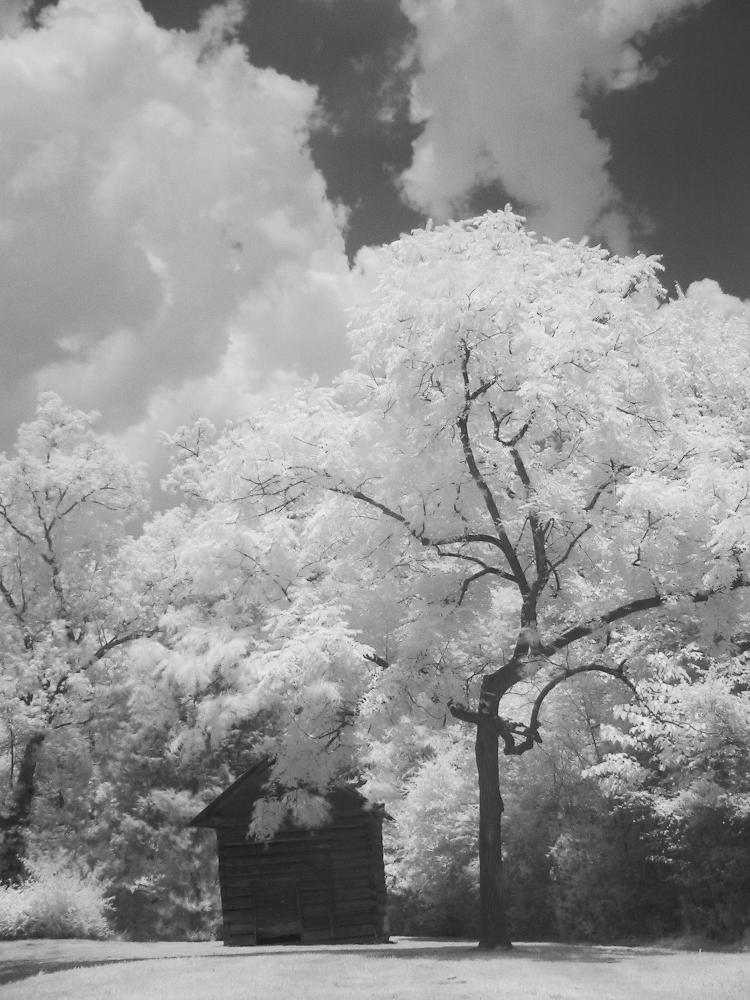 old outbuilding in infra-red