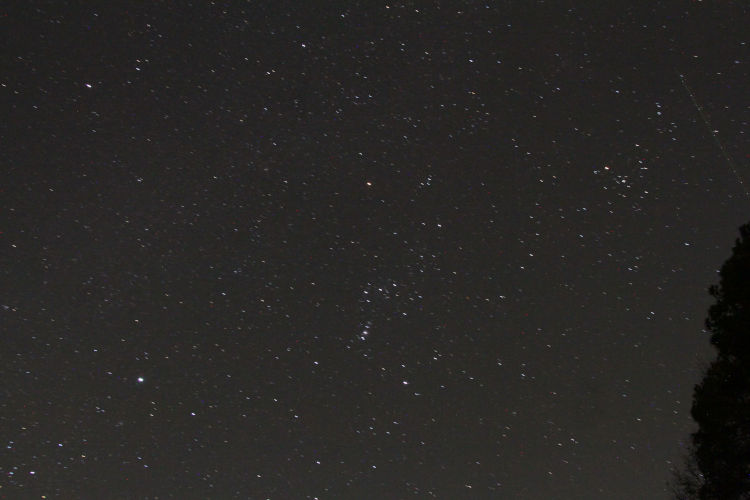 night time exposure showing Orion and plane trail