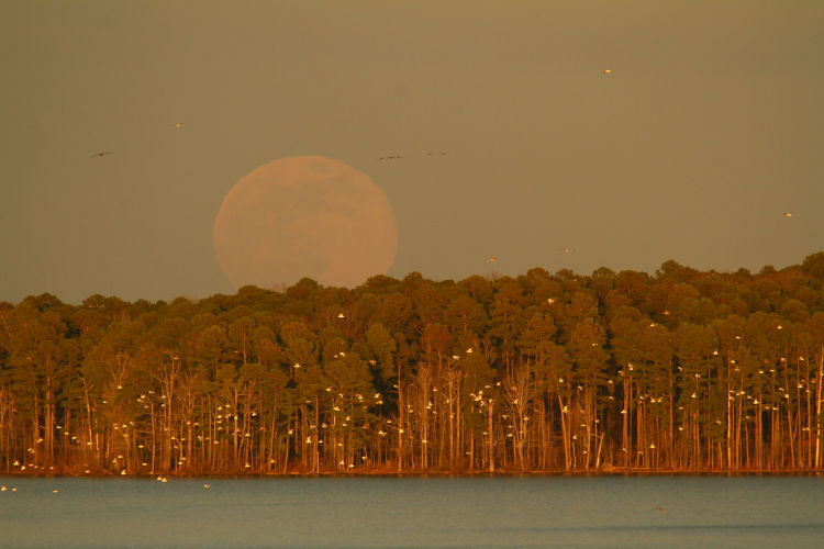 moonrise over Jordan Lake, early 2023