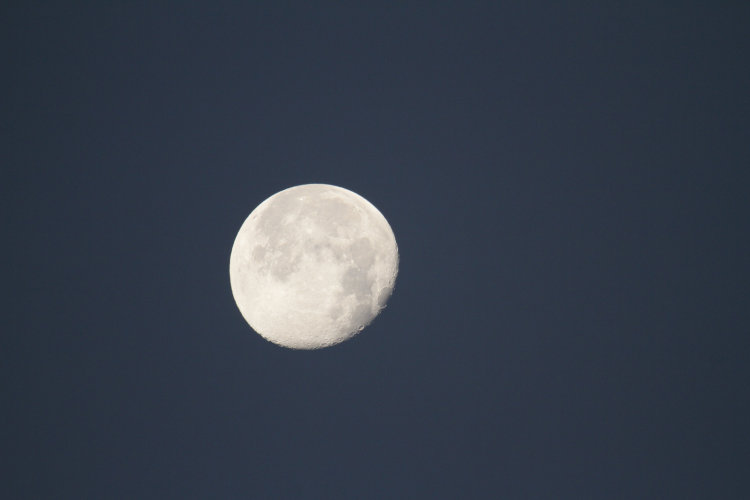 waning gibbous moon at 600mm, included for scale