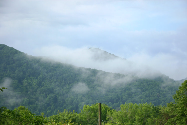 rising mist from overnight rains almost obscuring nearby peak in Great Smokey Mountains, Tennessee