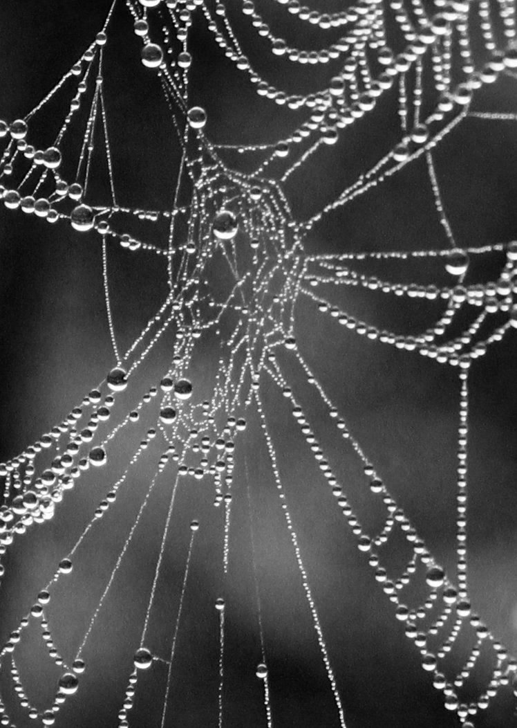 dew on spiderwebs, strictly in Blue channel monochrome