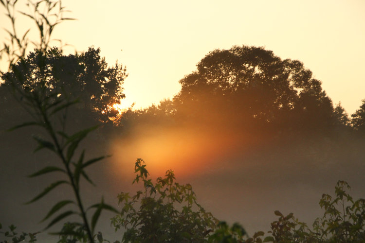 narrow sunbeam breaking across fog, Mason Farm