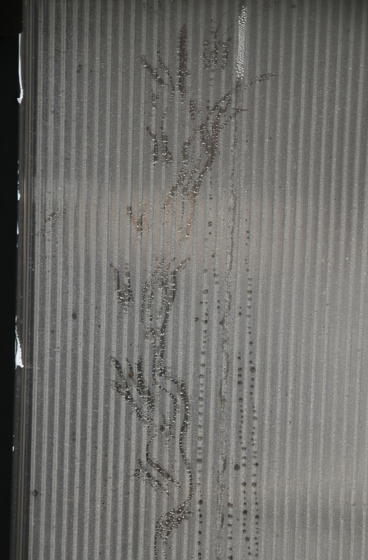 detail pic of Carolina anole Anolis carolinensis tracks in condensation on inside panel of greenhouse