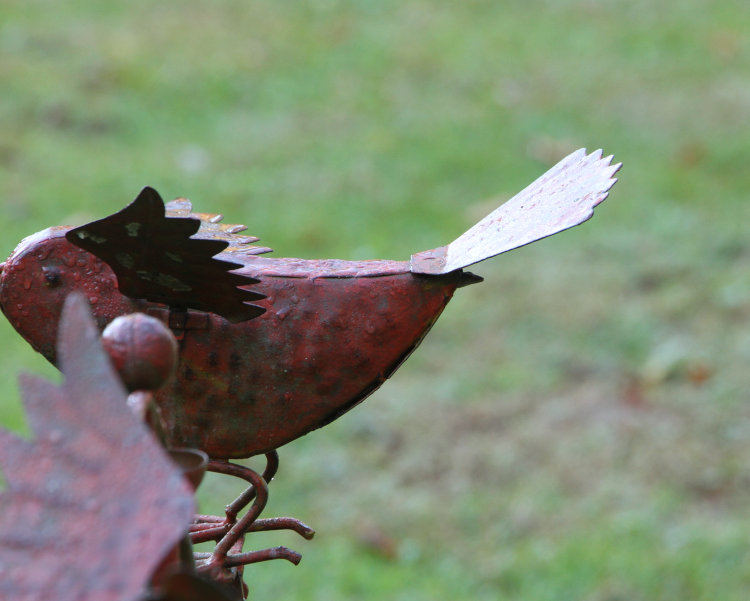 closer shot of head of Carolina anole Anolis carolinensis peeking from opening on balancing decoration