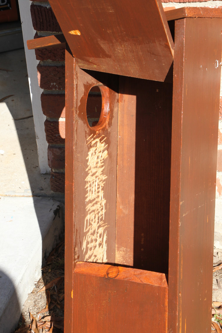 interior of wood duck nest box showing interior roughing for ducklings to climb out